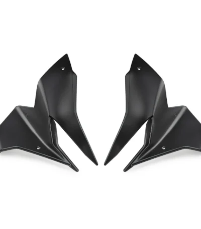 Alerón Frontal Pista #5 Puig para BMW R1300GS